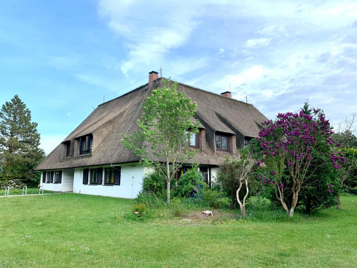 Ferienwohnung "Strandschnecke" Im Haus Hallig Oland Sankt Peter-Ording Exterior photo